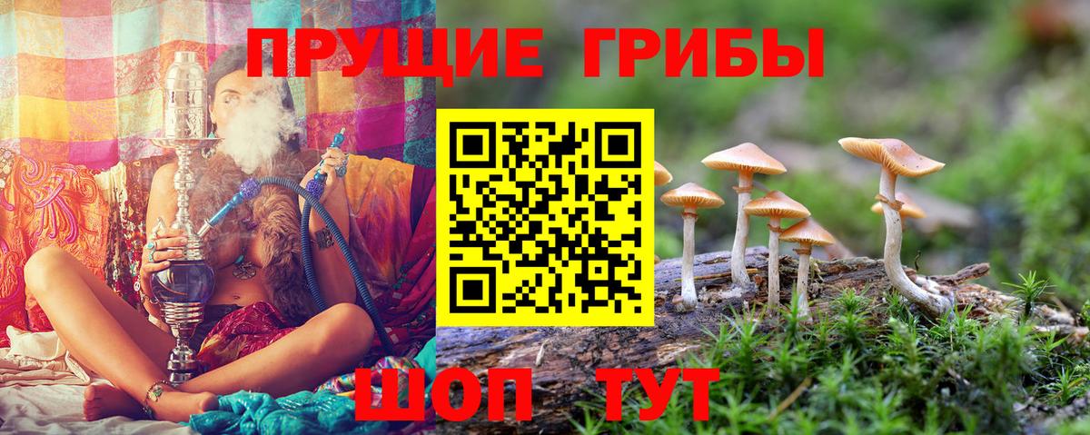 Галлюциногенные грибы Magic Shrooms Ульяновск