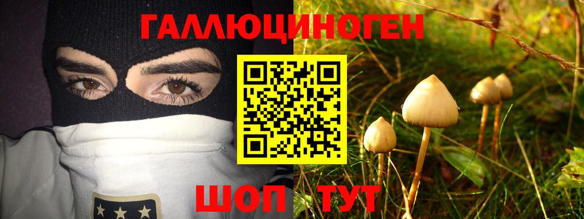 Псилоцибиновые грибы Psilocybine cubensis  Вход с VPN  Ульяновск 